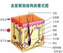 洗臉是門(mén)藝術(shù) 雖不值一提 做得好卻有養生作用！